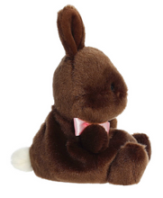 Load image into Gallery viewer, Palm Pals Chocolate Bunnny