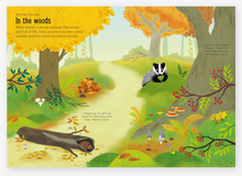Load image into Gallery viewer, Usborne Little First Sticker Nature