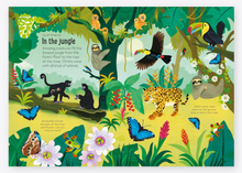 Load image into Gallery viewer, Usborne Little First Sticker Nature
