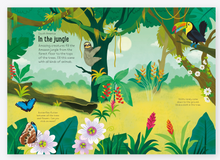 Load image into Gallery viewer, Usborne Little First Sticker Nature