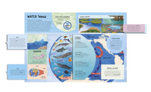 Load image into Gallery viewer, The Lift The Flap Encyclopedia of Ocean - Hardcover