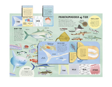 Load image into Gallery viewer, The Lift The Flap Encyclopedia of Ocean - Hardcover
