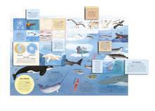 Load image into Gallery viewer, The Lift The Flap Encyclopedia of Ocean - Hardcover
