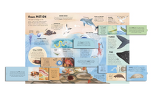 Load image into Gallery viewer, The Lift The Flap Encyclopedia of Ocean - Hardcover