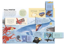 Load image into Gallery viewer, The Lift The Flap Encyclopedia of Ocean - Hardcover