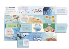 Load image into Gallery viewer, The Lift The Flap Encyclopedia of Ocean - Hardcover