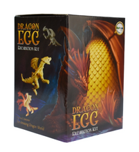 Load image into Gallery viewer, Kurious Kidz Dragon Egg Dig Kit