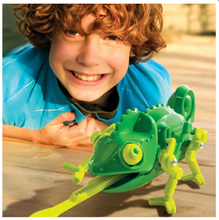Load image into Gallery viewer, 4M Kidzrobotix Chameleon Robot