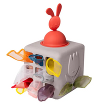 Load image into Gallery viewer, Taf Toys Pop-up Tissue Box