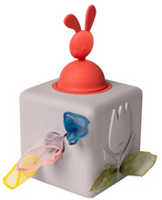 Load image into Gallery viewer, Taf Toys Pop-up Tissue Box