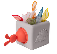 Load image into Gallery viewer, Taf Toys Pop-up Tissue Box