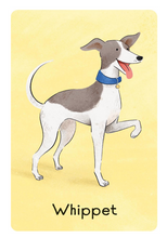 Load image into Gallery viewer, Usborne Dog Snap
