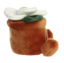 Load image into Gallery viewer, Palm Pals Junie Daisy