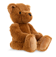 Load image into Gallery viewer, Theodore Teddy