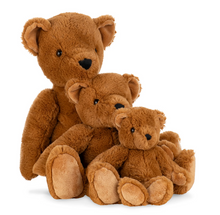 Load image into Gallery viewer, Theodore Teddy