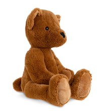 Load image into Gallery viewer, Theodore Teddy