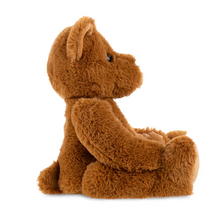 Load image into Gallery viewer, Theodore Teddy