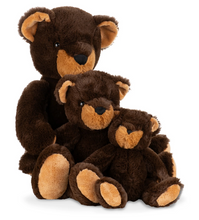 Load image into Gallery viewer, Winnipeg Teddy