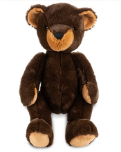 Load image into Gallery viewer, Winnipeg Teddy