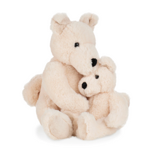 Load image into Gallery viewer, Hachiko Akita Dog