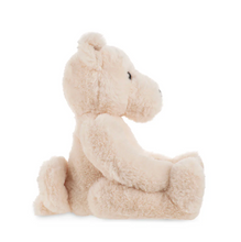 Load image into Gallery viewer, Hachiko Akita Dog