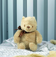 Load image into Gallery viewer, Winnie the Pooh Disney 23cm