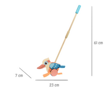Load image into Gallery viewer, Kaper Kidz Push Along Kookaburra