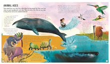 Load image into Gallery viewer, About Time - Hardback - Non Fiction