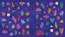 Load image into Gallery viewer, An Ocean Lover's Sticker Book