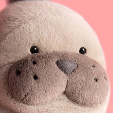 Load image into Gallery viewer, Jellycat Roarwell Sea Lion