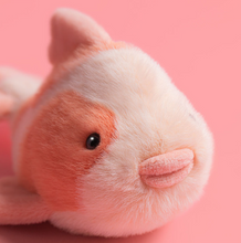 Load image into Gallery viewer, Jellycat Fancy Carp