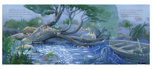 Load image into Gallery viewer, Fairy Forest - Sheila Knaggs & Jennifer Falkner - Hardcover