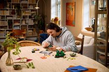 Load image into Gallery viewer, LEGO Botanicals Woodland Mushrooms 11505