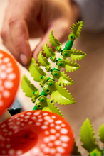 Load image into Gallery viewer, LEGO Botanicals Woodland Mushrooms 11505