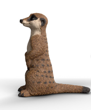 Load image into Gallery viewer, Schleich Meerkat