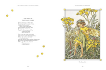 Load image into Gallery viewer, Complete Book of the Flower Faireis