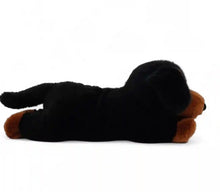Load image into Gallery viewer, Pumpkin the Dachshund