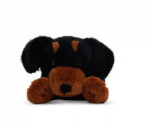 Load image into Gallery viewer, Pumpkin the Dachshund