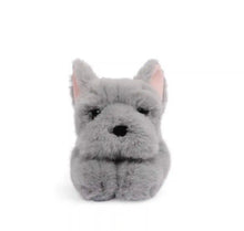 Load image into Gallery viewer, Remy the French Bulldog