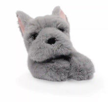 Load image into Gallery viewer, Remy the French Bulldog