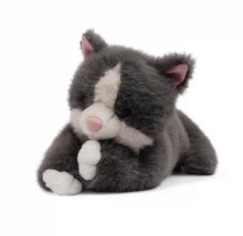 Load image into Gallery viewer, Misty the Grey Cat