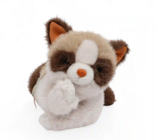 Load image into Gallery viewer, One Love Caramel Cat