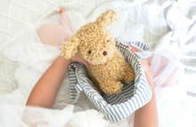 Load image into Gallery viewer, Alimrose Toffee the Puppy in Carrier