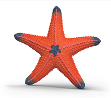 Load image into Gallery viewer, Schleich Starfish Colour Change