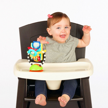 Load image into Gallery viewer, Sassy Baby Fishy Fascination Station