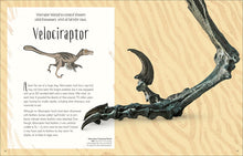Load image into Gallery viewer, DK Dinosaurs & Other Prehistoric Life - Hardback