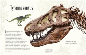 DK Dinosaurs & Other Prehistoric Life - Hardback