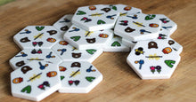 Load image into Gallery viewer, Honeycombs