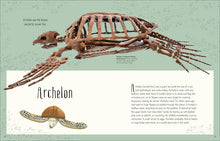 Load image into Gallery viewer, DK Dinosaurs & Other Prehistoric Life - Hardback