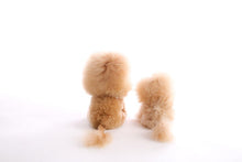 Load image into Gallery viewer, Auskin Alpaca Toys Lion 20cm